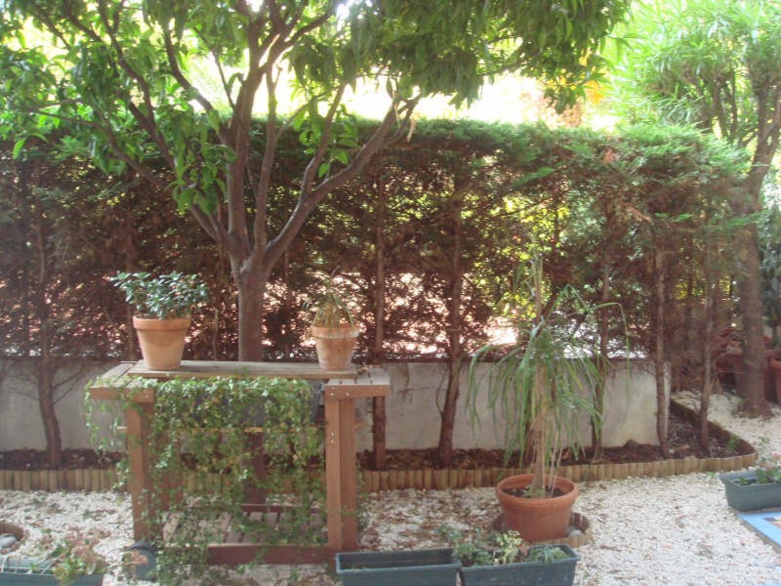Image_1, Appartement, Nice,
                                ref :00825